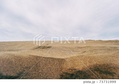 Lonely dunes in the Ebro delta, Tarragona, Spain. 73731999