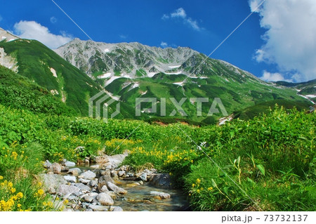 絶景の北アルプス 立山 夏景色 絶景の北アルプス 立山 夏景色 73732137