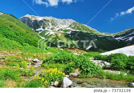 絶景の北アルプス 立山　夏景色 73732139