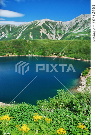 絶景の立山 みくりが池 夏景色 絶景の立山 みくりが池 夏景色 73732461