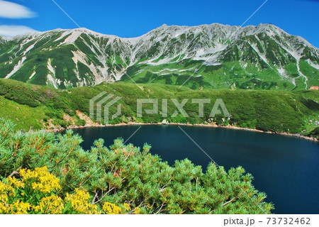 絶景の立山 みくりが池 夏景色 絶景の立山 みくりが池 夏景色 73732462
