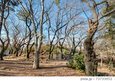東京都新宿区戸山公園の箱根山 東京都新宿区戸山公園の箱根山 73733052