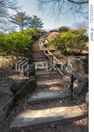 東京都新宿区戸山公園の箱根山 73733054