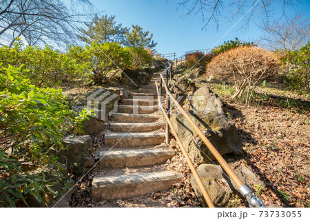 東京都新宿区戸山公園の箱根山 73733055