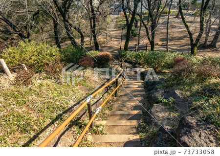 東京都新宿区戸山公園の箱根山 東京都新宿区戸山公園の箱根山 73733058