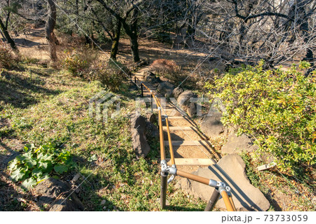 東京都新宿区戸山公園の箱根山 73733059