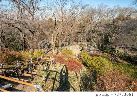 東京都新宿区戸山公園の箱根山 東京都新宿区戸山公園の箱根山 73733061