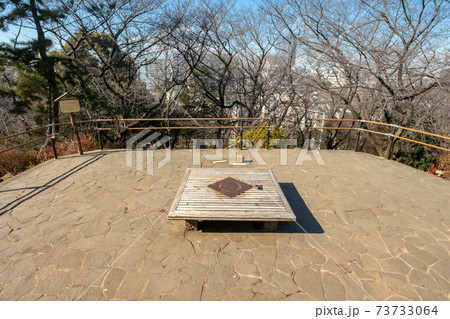 東京都新宿区戸山公園の箱根山 東京都新宿区戸山公園の箱根山 73733064