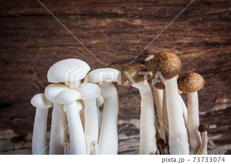 Shimeji mushroom or White beech mushroom on rustic wooden background. 73733074