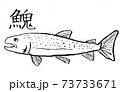 イトウ 73733671
