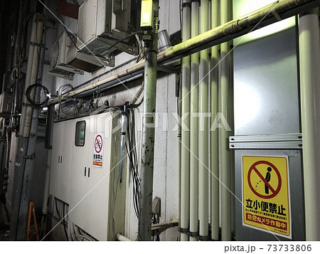 歌舞伎町の路地裏の風景 (東京都新宿区歌舞伎町) 73733806