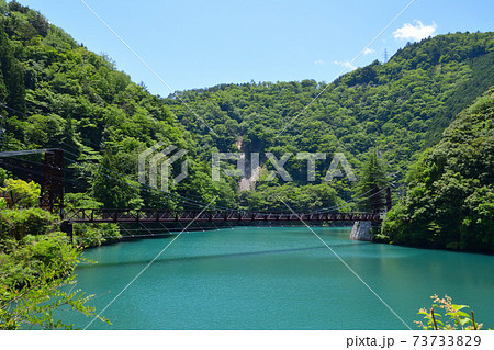 市代吊橋 南アルプスあぷとライン 市代吊橋 南アルプスあぷとライン 73733829