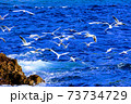 海面近くを飛ぶかもめの群れ 73734729