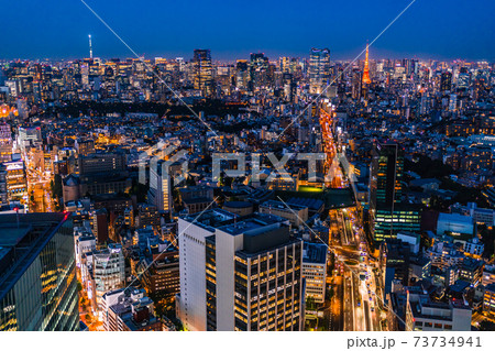 渋谷の展望台から見た東京の夜景 73734941