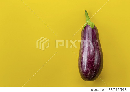 Raw purple eggplant on a yellow background. Fresh vegetables. Space for text. Raw purple eggplant on a yellow background. Fresh vegetables. Space for text. 73735543