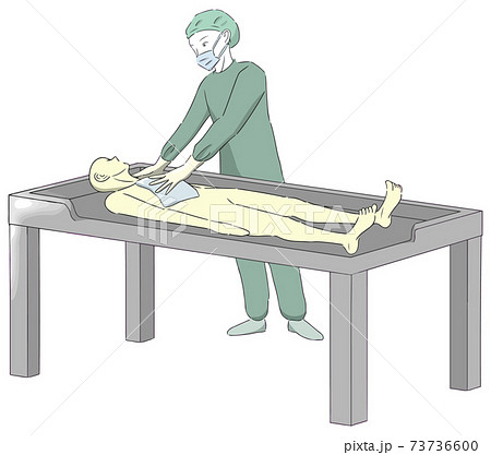 エンバーミングの「乾燥」工程で全身をタオルで拭く人2 エンバーミングの「乾燥」工程で全身をタオルで拭く人2 73736600