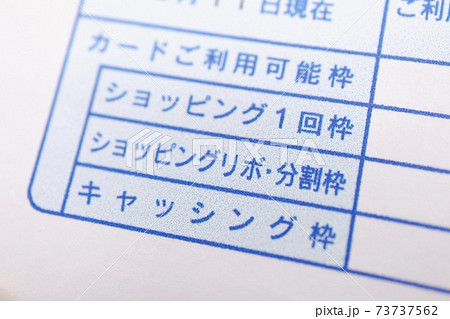 リボ払いに関する請求書類 73737562