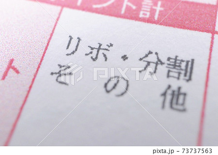 リボ払いに関する請求書類 73737563
