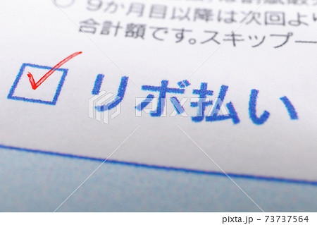 リボ払いに関する請求書類 73737564
