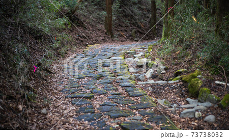 箱根旧街道の元箱根～ 73738032