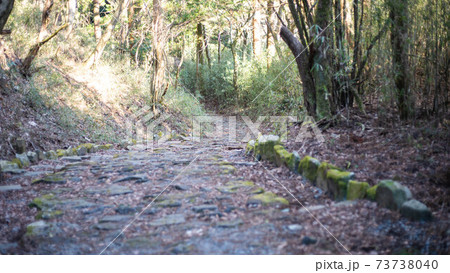 箱根旧街道の元箱根～ 73738040