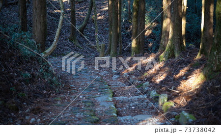箱根旧街道の元箱根～ 73738042