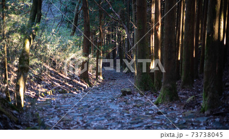箱根旧街道の元箱根~ 箱根旧街道の元箱根~ 73738045