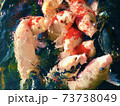 鯉たち 73738049