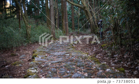 箱根旧街道の元箱根～ 73738051