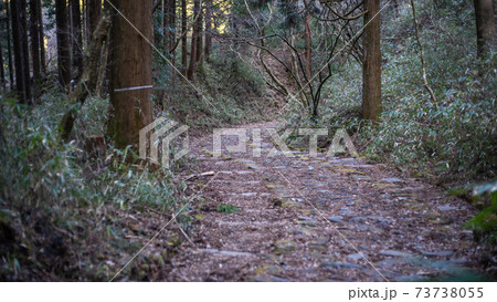 箱根旧街道の元箱根～ 73738055