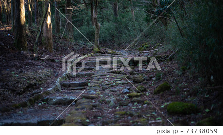 箱根旧街道の元箱根～ 73738059