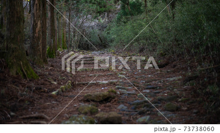 箱根旧街道の元箱根~ 箱根旧街道の元箱根~ 73738060