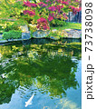 庭園と一匹の鯉 73738098