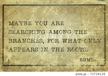 branches or roots Rumi 73738126
