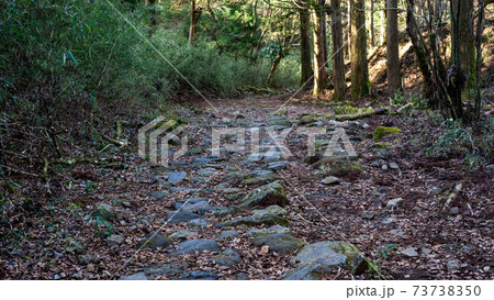 箱根旧街道の元箱根～ 73738350