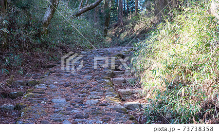 箱根旧街道の元箱根~ 箱根旧街道の元箱根~ 73738358