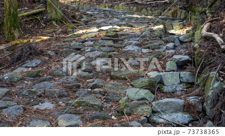 箱根旧街道の元箱根～ 73738365