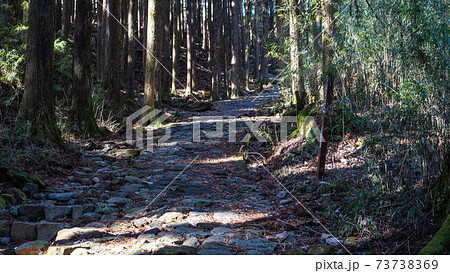箱根旧街道の元箱根~ 箱根旧街道の元箱根~ 73738369