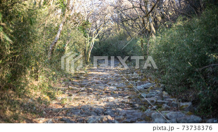 箱根旧街道の権現坂～ 73738376