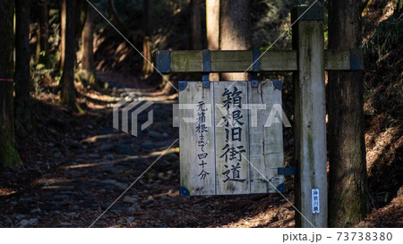 箱根旧街道の元箱根～ 73738380
