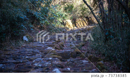 箱根旧街道の権現坂~ 箱根旧街道の権現坂~ 73738385