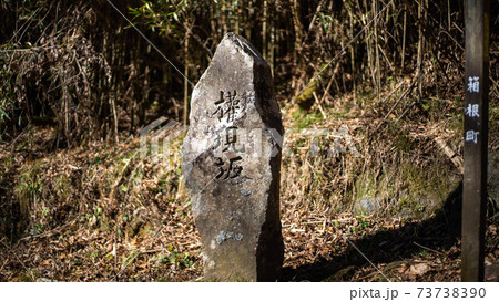 箱根旧街道の権現坂～ 73738390