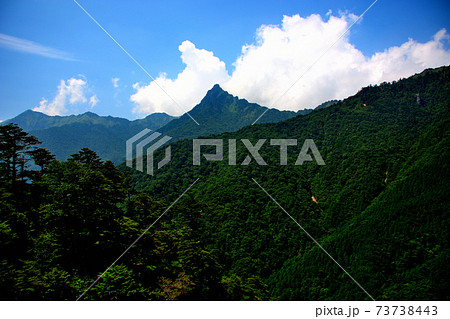 石鎚スカイラインより眺める石鎚山の雄姿と、四国連峰の美しい緑・四国・愛媛県・久万高原(8) 石鎚スカイラインより眺める石鎚山の雄姿と、四国連峰の美しい緑・四国・愛媛県・久万高原(8) 73738443