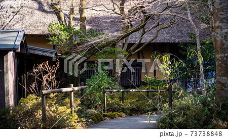 箱根旧街道の甘酒茶屋 73738848