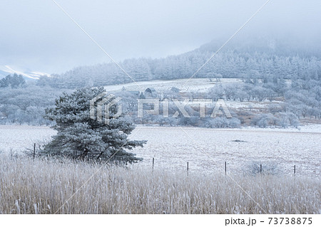 霧ヶ峰ビーナスラインから眺める霧氷　八島湿原方面 73738875