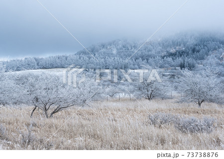 霧ヶ峰ビーナスラインから眺める霧氷 八島湿原方面 霧ヶ峰ビーナスラインから眺める霧氷 八島湿原方面 73738876