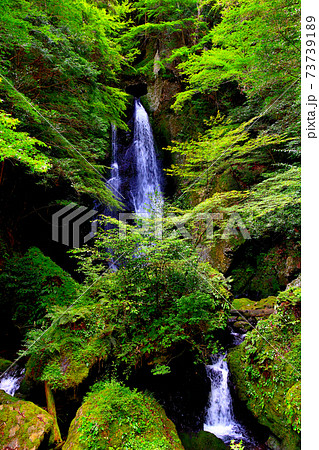 長沢の滝・恋愛成就の名瀑、ハート型の穴から流れ落ちる美しい滝・四国カルスト・高知県(3) 長沢の滝・恋愛成就の名瀑、ハート型の穴から流れ落ちる美しい滝・四国カルスト・高知県(3) 73739189