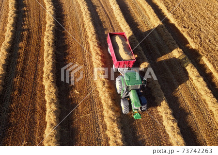 Agricultural machinery on the golden field. tractor during seasonal works in summer. Aerial shot. 73742263