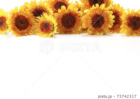 菊の花束 73742317