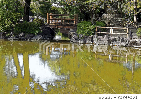 中村公園・点景 73744301